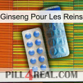 Ginseng For Kidney 40